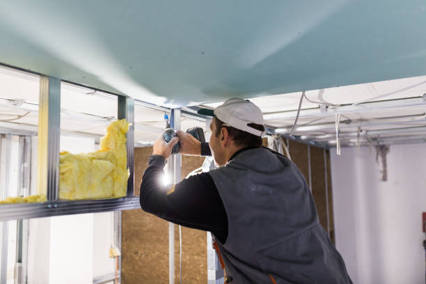 Best Crawl Space Insulation  in Henderson, NC