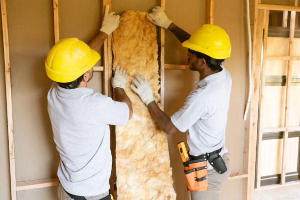 Best Insulation Inspection Services  in Henderson, NC
